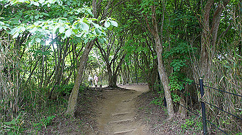 dsc00277_thumb.jpg