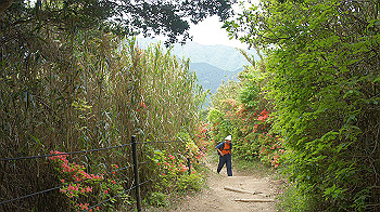 dsc00278_thumb.jpg