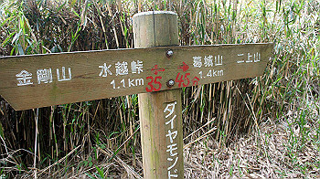 dsc00284_thumb.jpg