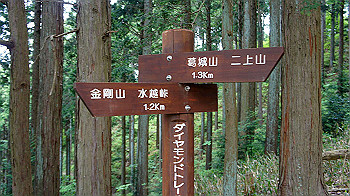 dsc00285_thumb.jpg