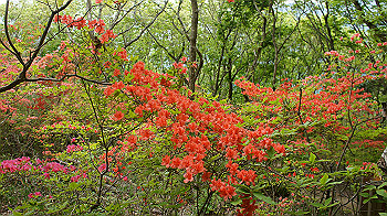 dsc00287_thumb.jpg