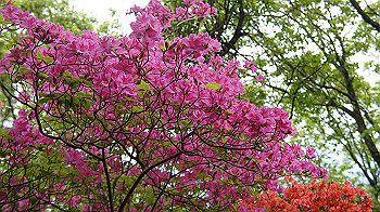 dsc00289_thumb.jpg