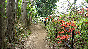 dsc00292_thumb.jpg