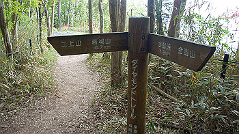 dsc00297_thumb.jpg