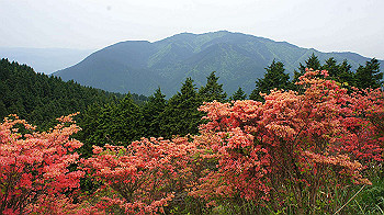 dsc00327_thumb.jpg