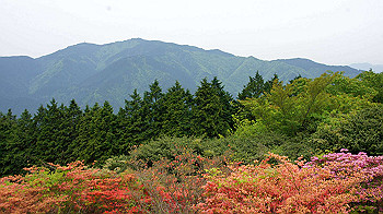 dsc00330_thumb.jpg