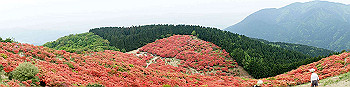 dsc00337_thumb.jpg