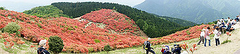 dsc00338_thumb.jpg
