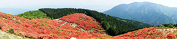 dsc00342_thumb.jpg