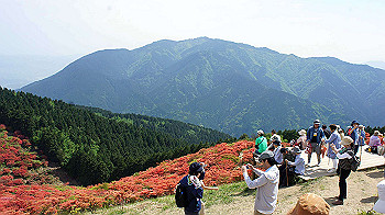 dsc00348_thumb.jpg