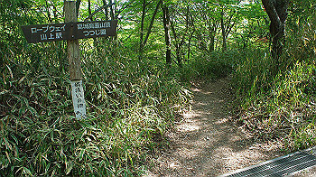 dsc00362_thumb.jpg