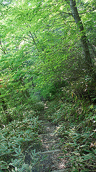 dsc00364_thumb.jpg