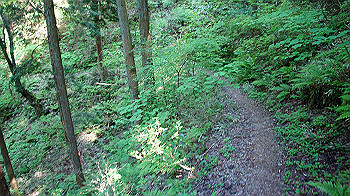 dsc00365_thumb.jpg