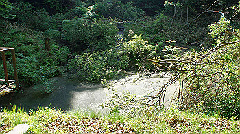 dsc00367_thumb.jpg