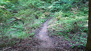 dsc00368_thumb.jpg