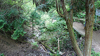 dsc00375_thumb.jpg