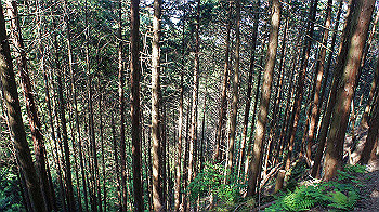 dsc00376_thumb.jpg