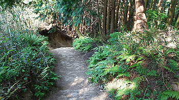 dsc00380_thumb.jpg