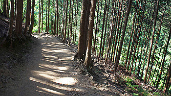 dsc00382_thumb.jpg