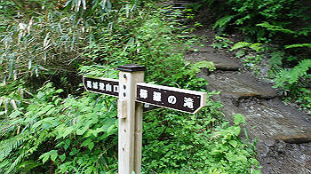dsc00384_thumb.jpg