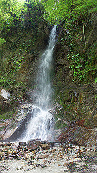 dsc00386_thumb.jpg