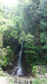 dsc00387_thumb.jpg