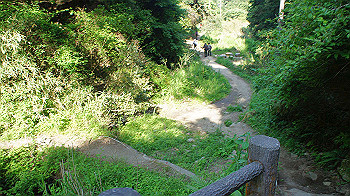 dsc00388_thumb.jpg