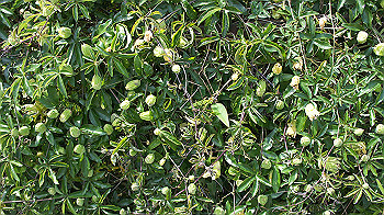 dsc00032_thumb.jpg