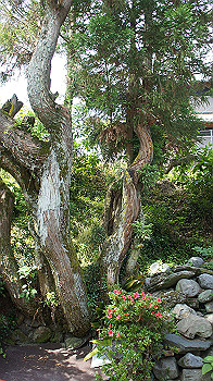 dsc00037_thumb.jpg