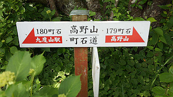 dsc00064_thumb.jpg