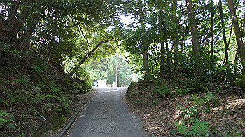 dsc00067_thumb.jpg