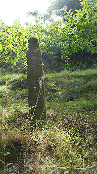 dsc00072_thumb.jpg