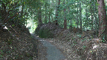 dsc00073_thumb.jpg