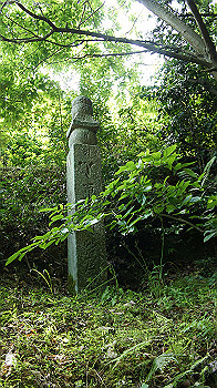 dsc00077_thumb.jpg