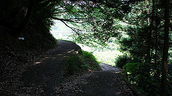dsc00078_thumb.jpg