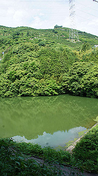 dsc00080_thumb.jpg