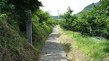 dsc00081_thumb.jpg