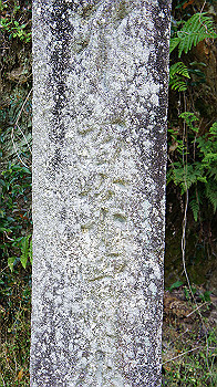 dsc00082_thumb.jpg