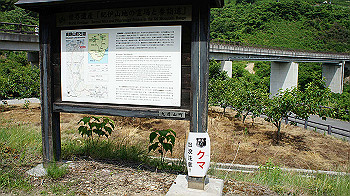 dsc00086_thumb.jpg