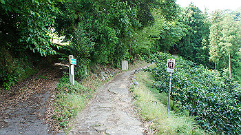 dsc00090_thumb.jpg