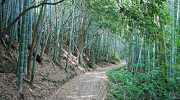 dsc00091_thumb.jpg