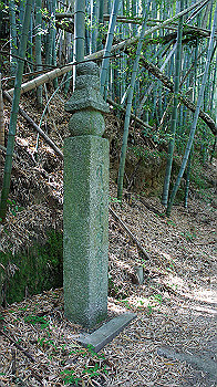 dsc00092_thumb.jpg
