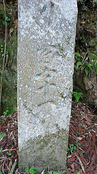 dsc00095_thumb.jpg