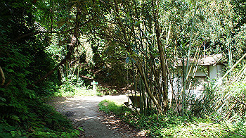 dsc00097_thumb.jpg