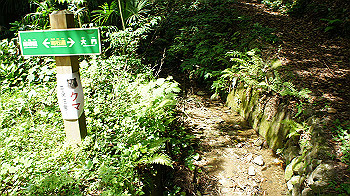 dsc00098_thumb.jpg