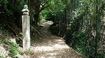 dsc00099_thumb.jpg