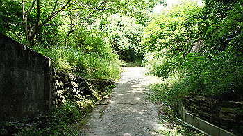 dsc00100_thumb.jpg
