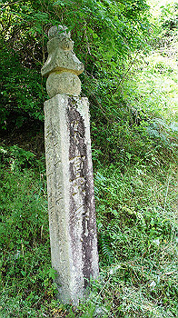 dsc00106_thumb.jpg