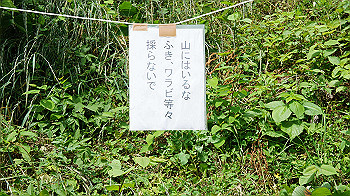 dsc00107_thumb.jpg