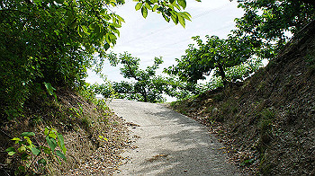 dsc00108_thumb.jpg